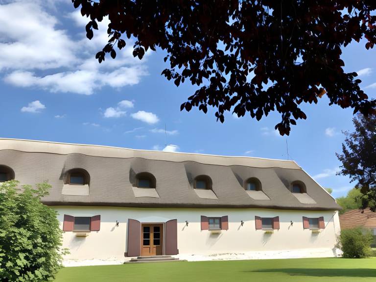 The Houses of History - anno 1830 in Veszprem