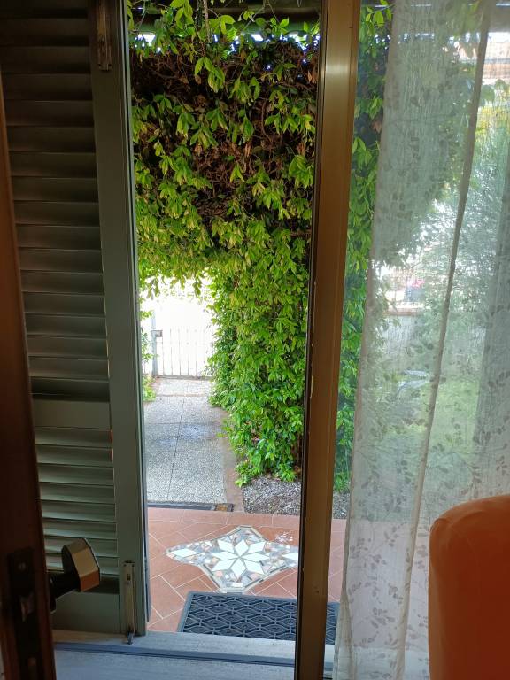 foto19