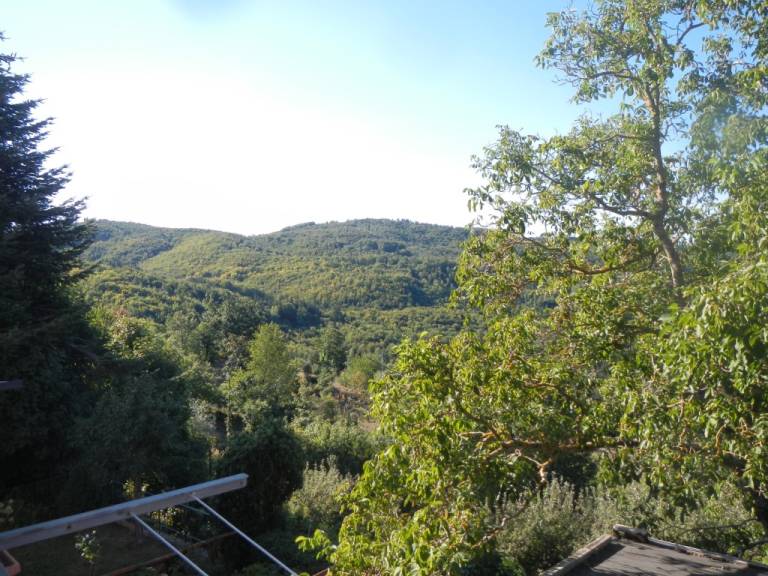 foto10