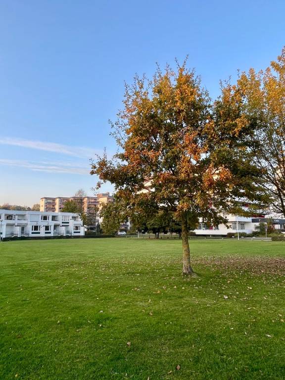 Prinzenhof App. 27 inkl. WLAN — photo 4