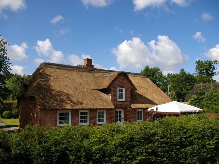 foto22