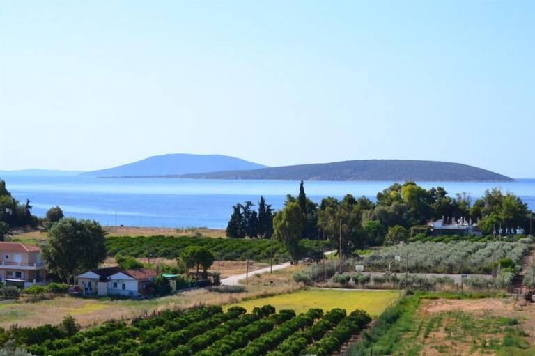 Κατάλυμα Νησίς Τολό