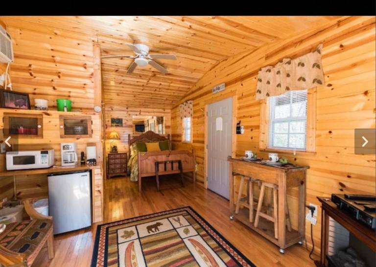 Cabin  Aska