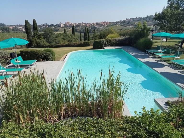 Family-oriented house with garden, terrace & private pool | Pets allowed in San Gimignano