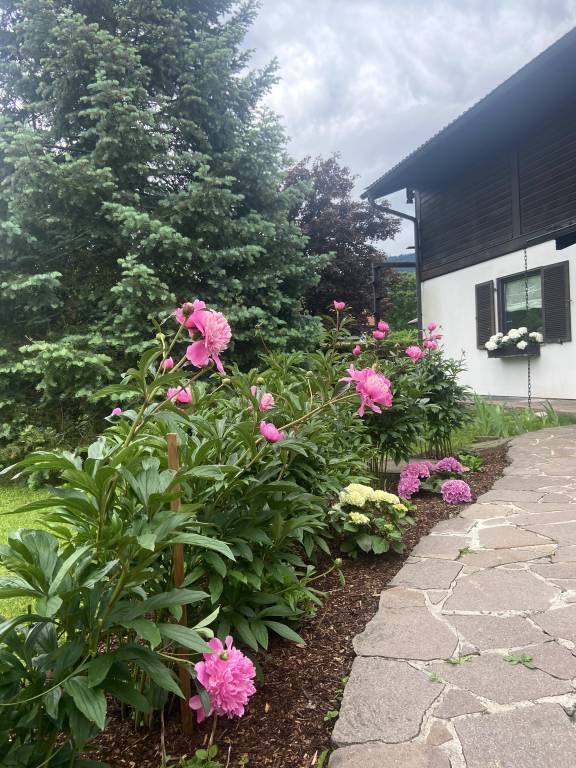foto19