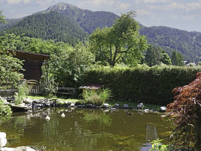 foto16