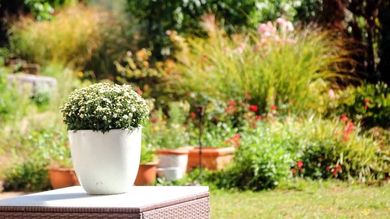 Apartment 'Jung Und Lind' with Private Terrace, Private Garden and Wi-Fi — photo 4