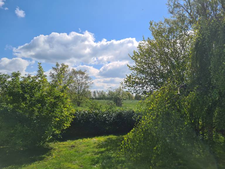 foto21