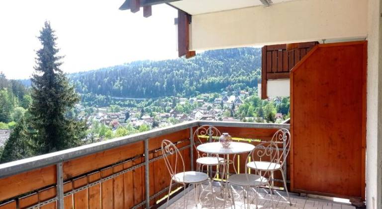 Apartment with 1 room for 2 persons in Todtmoos