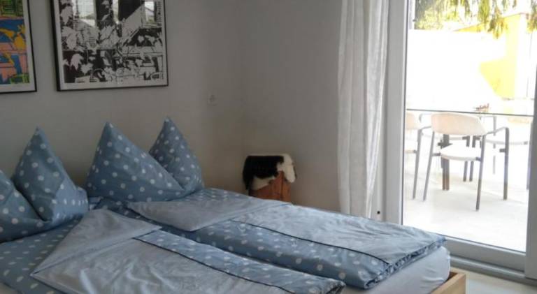 Swiss Borzoi House — photo 2