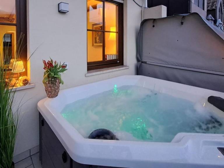 Penthouse & Wellness L'Abete in Lana