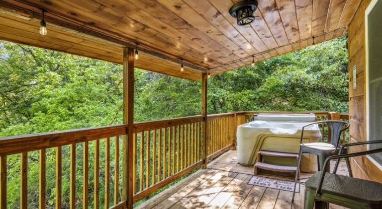 Hidden Forest Spa Sauna Nature Secluded 93 acres — photo 5