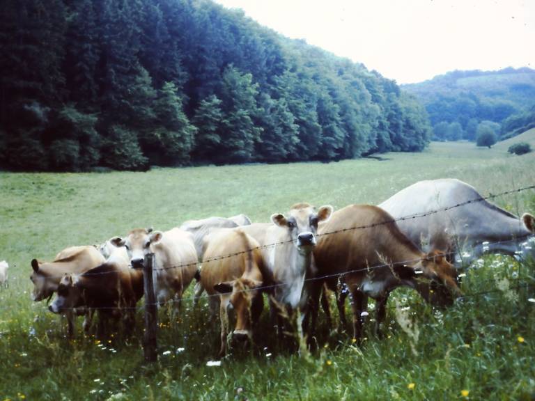 foto10
