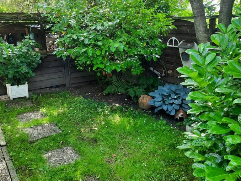 foto39
