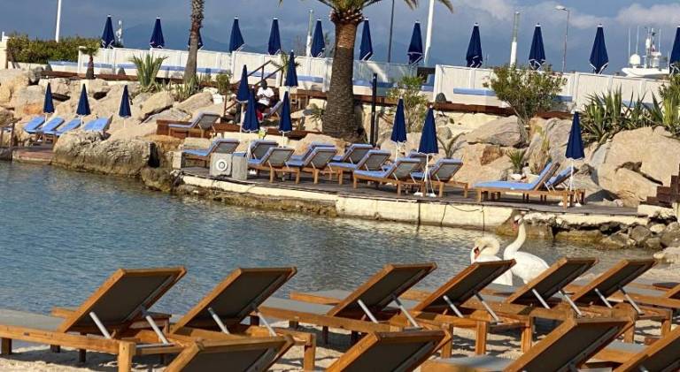 Cannes Croisette &Palm beach, parking — photo 3