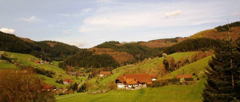 foto3