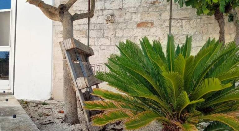Holiday apartment with yard, barbecue & pool in Franca