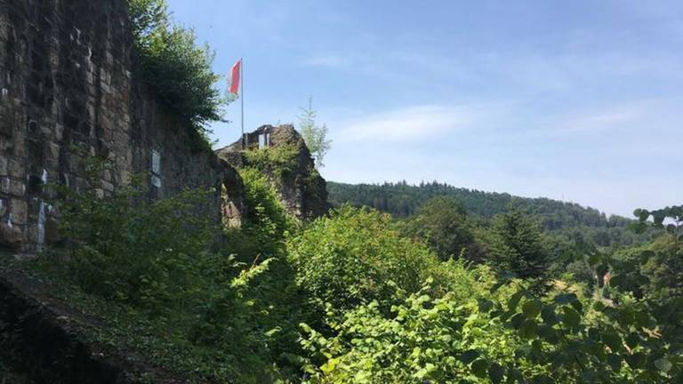 foto12