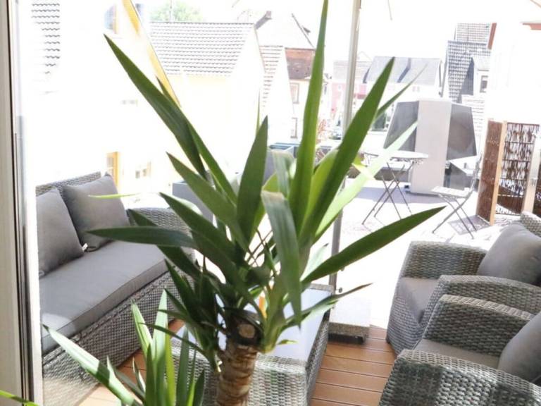 Ferienwohnung  Tauberbischofsheim