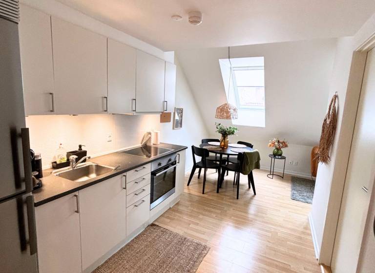 Ferienwohnung  Odense C