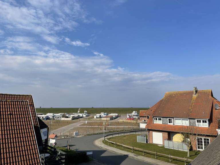 foto38