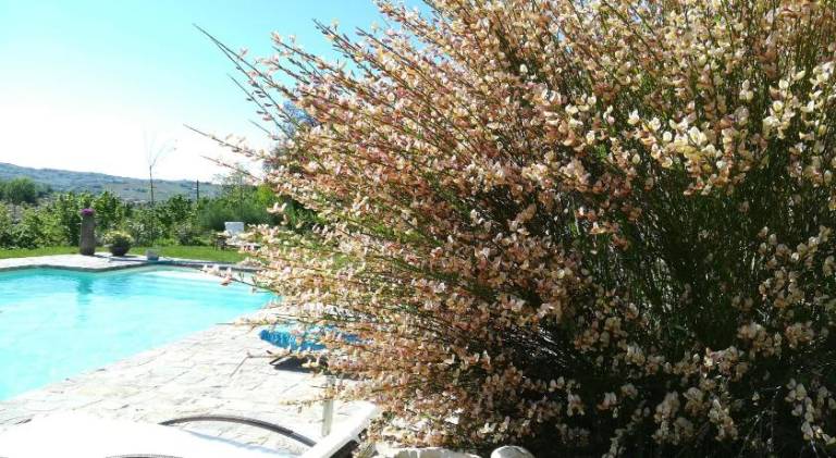 foto23