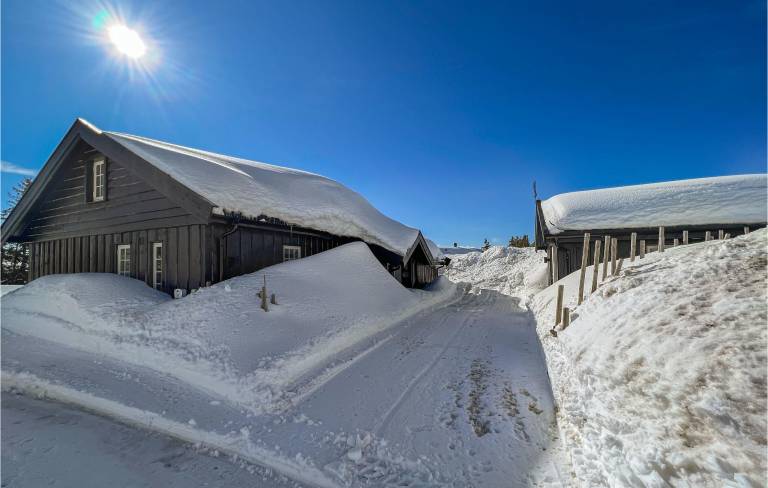 Ferienhaus Sjusjøen
