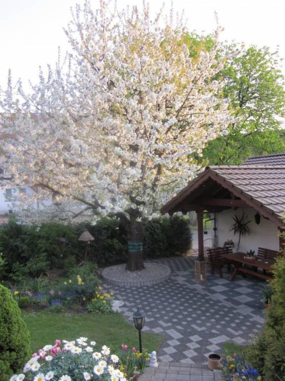 foto11