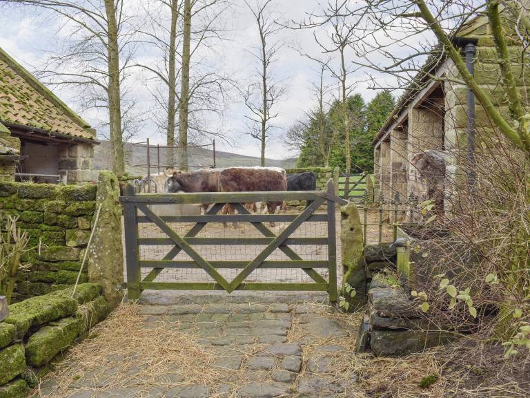 Cottage Glaisdale