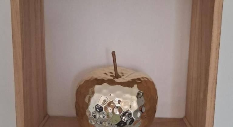 foto13
