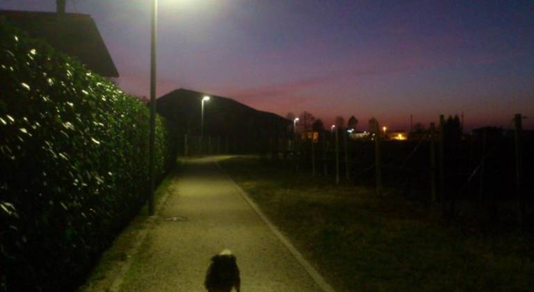 foto48