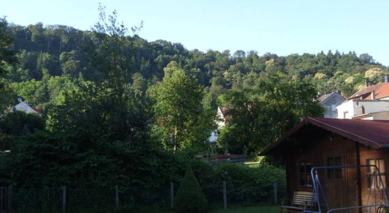 foto17