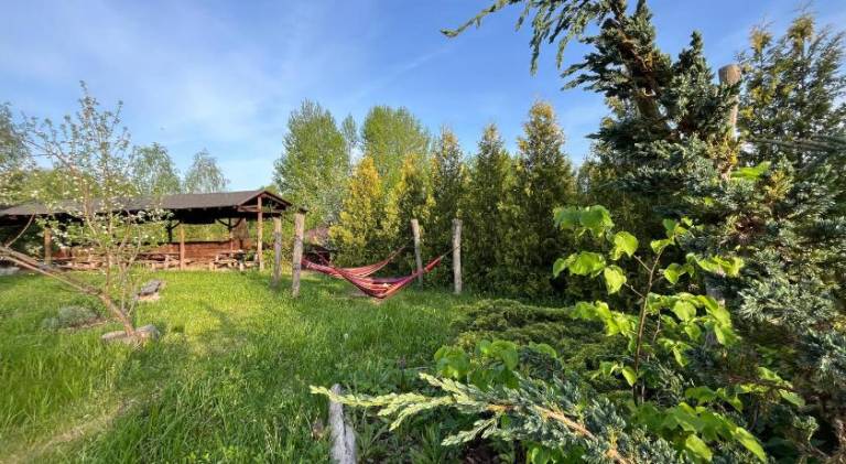 Lodge with terrace & yard — photo 5
