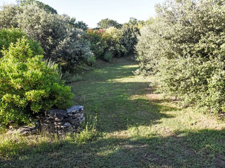 foto44