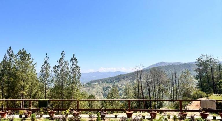 Panchwati Farms — photo 5