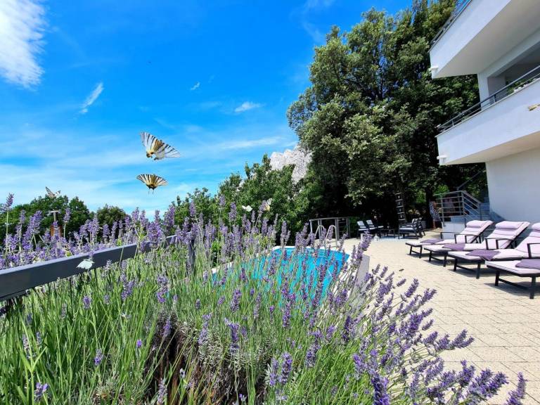 House with terrace, private pool & garden | Mountain view — photo 3