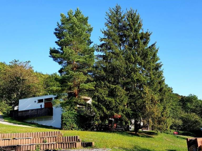 foto26