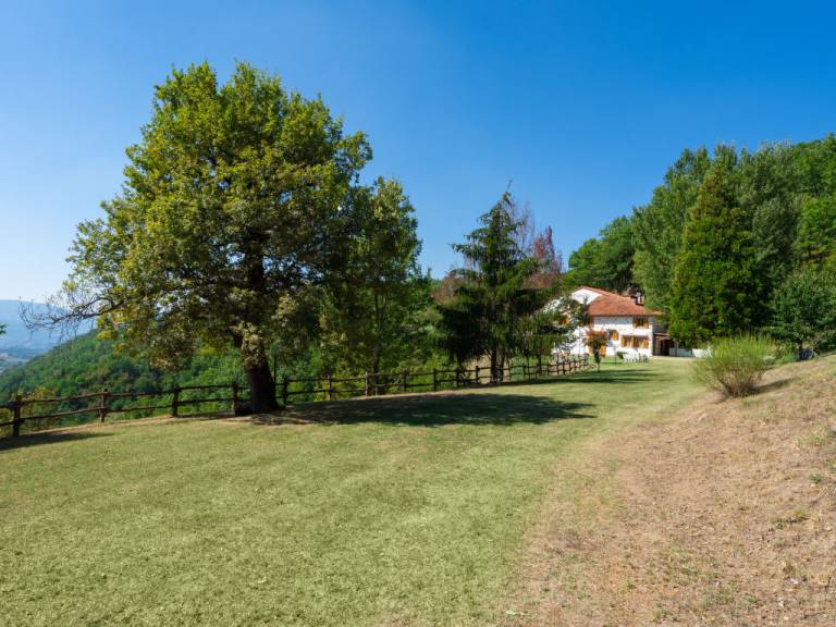 foto40