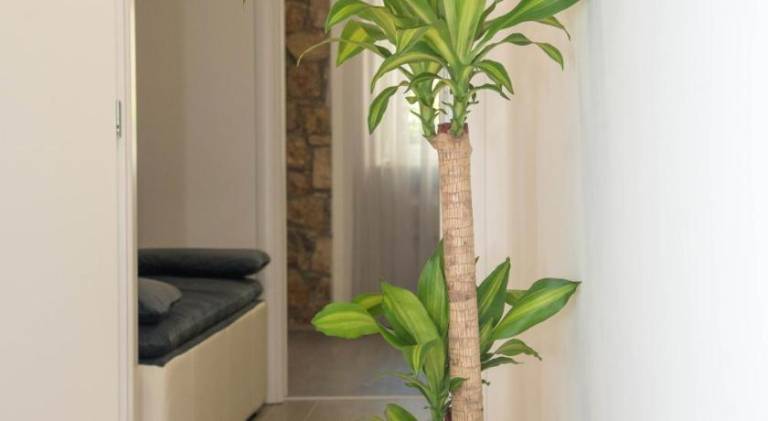 Apartman Sinj