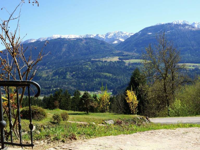 foto11