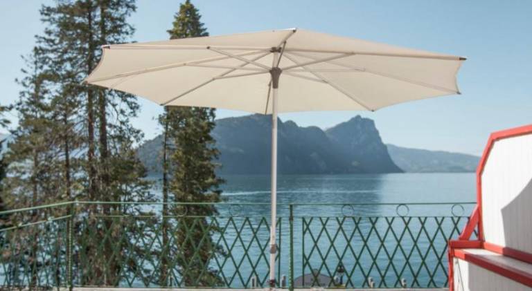 Hotel Vitznauerhof - Lifestyle Hideaway at Lake Lucerne — photo 3