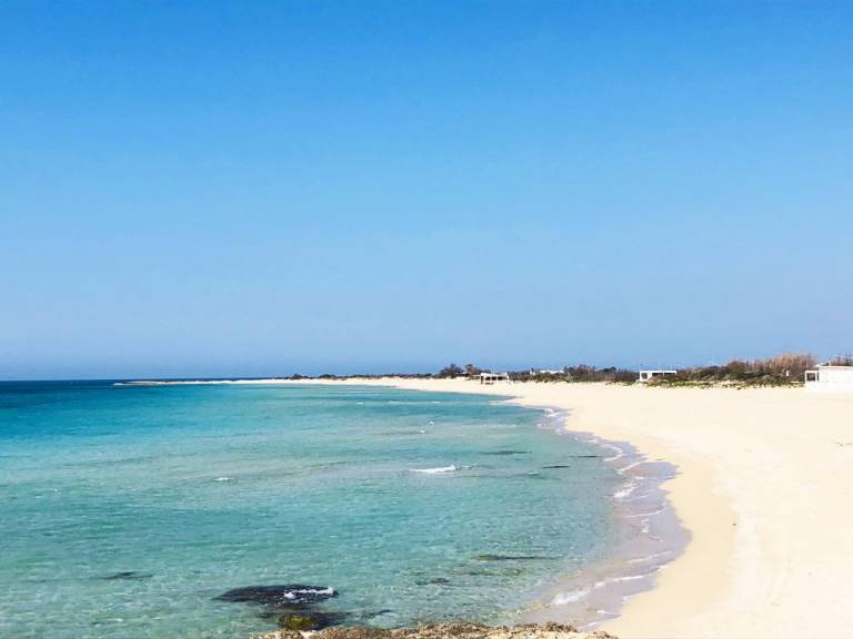 Children-friendly holiday apartment | Close to the beach | Pets allowed — photo 3