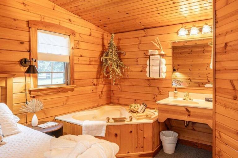 Cabin  Salt Creek Township