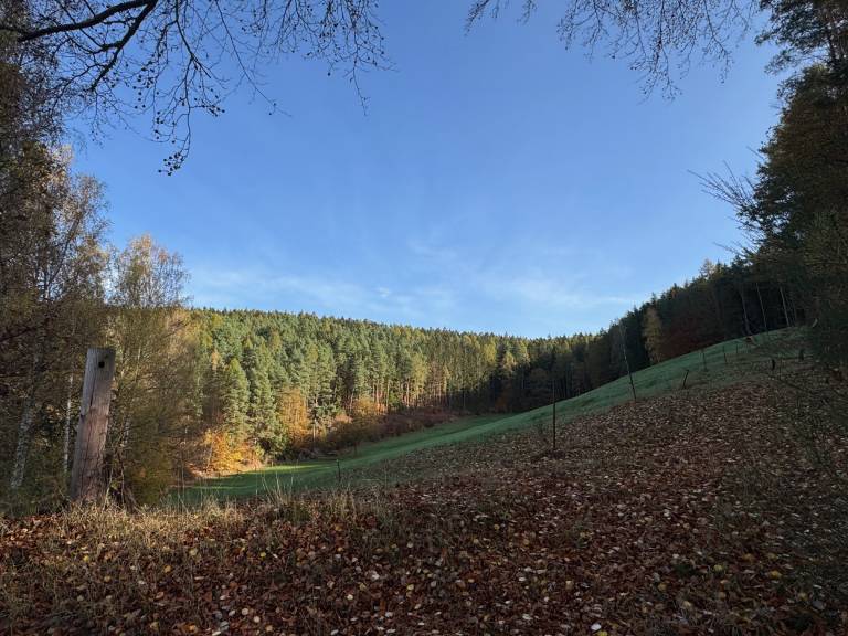 foto26
