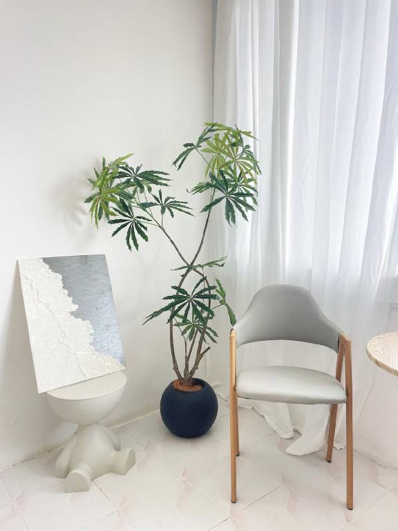 foto7