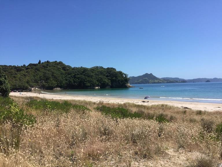 House Whitianga