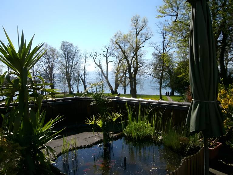 foto16