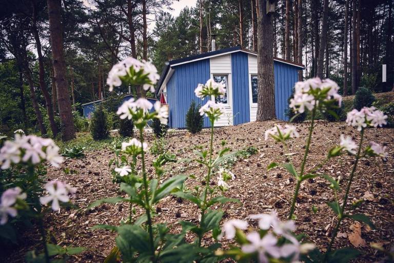 foto26