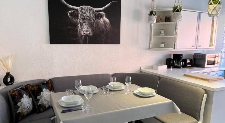 Nice rental apartment | Pets are welcome — photo 2
