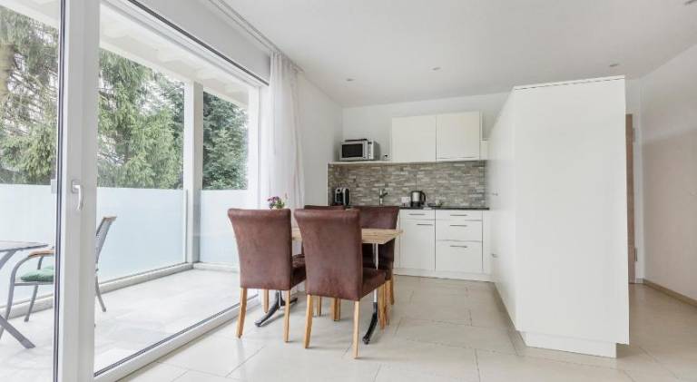 Nice serviced apartment with terrace | Dogs allowed in Lucerne